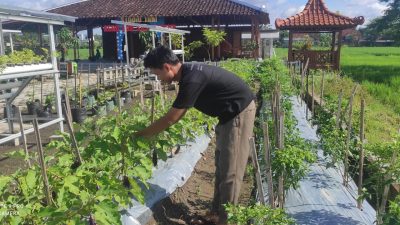 Studio Tani Panti Asuhan An-Nur Ajarkan Anak Yatim Menanam