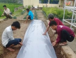 Studio Tani di Panti Asuhan Yatim Putra Islam “An-Nur” Bantul Tempat Belajar dan Praktik Usaha Pertanian, Perikanan, dan Peternakan