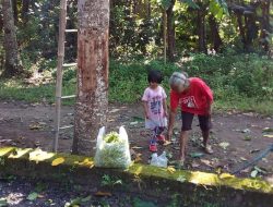 Raup Rupiah dari Petik Bunga Kenanga