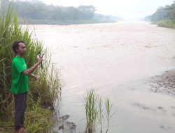Asyiknya Mancing di Kali Progo, Bila Beruntung Bisa Angkat Nila dan Sidat