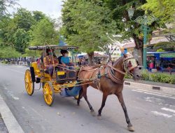 Kenalan Kampung Andong di Yogyakarta