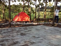 Komunitas Wisata Hijau Lestari Padukuhan Karangwetan Sulap Kebun Jati Jadi Area Camping Ground