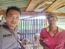 Bripka Wahyu Tri Widodo Ajak Warga Beternak Domba