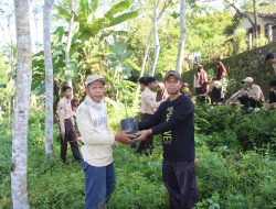 MAN 3 Kulonprogo Lakukan Penanaman Pohon di Perbukitan Menoreh