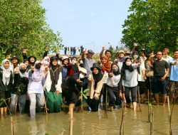 Herbiforus Himabio FMIPA UNY Tanam Mangrove di Kawasan Wanatirta Kulonprogo