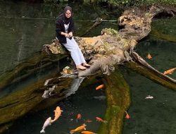 Gratis, Berenang dan Berfoto-ria Bersama Ikan di Wisata Pemandian Mata Air Mudal Wonosobo