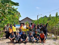 KKN 41 Kolaborasi: Memelihara Tanaman Jeruk Lemon bersama PKK Desa Tanon