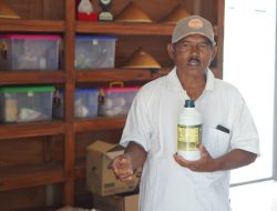 Membuat Pupuk Organik Padat dan Cair Ala Gapoktan Maju Makmur Bendung