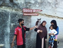 Menikmati Lagu ‘Nemu’ dan Foto Bareng Burung Hantu di Taman Tebing Breksi