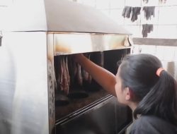 Teknologi Pengasapan Lele Rendah Polusi Tingkatkan Kuantitas Produksi