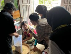 Mahasiswa KKN UGM Optimalkan Potensi Alam di Kendal