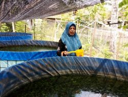 Budidaya Lele dan Gurami Dukung Program Penurunan Stunting