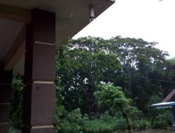 Siklon Tropis Anggrek, Curah Hujan Tinggi, Kecepatan Angin Meningkat, Ombak Tinggi