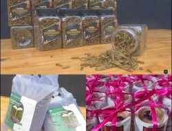 Mahasiswa UGM Dampingi Warga Prambanan Kelola Sampah Jadi Wisata Edukasi