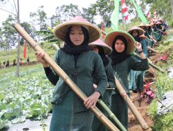 Festival Gunung Slamet Desa Serang Masuk Agenda Event Nasional KEN 2024