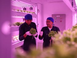 UGM Luncurkan Smart Agri Plant Factory Dukung Pertanian Modern Berkelanjutan