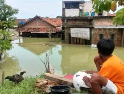 Pemerintah Perlu Mengkaji Ulang Kapasitas Tanggul Untuk Cegah Banjir Ekstrem di Demak