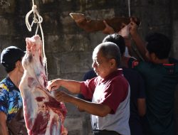 Pakar UGM Bagikan Tips Menyimpan dan Mengolah Daging Kurban