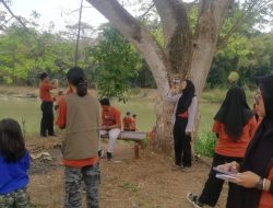 Eksotisme Pohon Munggur di Tepi Kali Progo