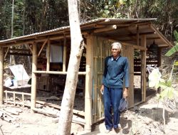 Tinggal Sendiri, Sumedi Membangun Gubuk Bambu Menyatu dengan Kandang Kambing