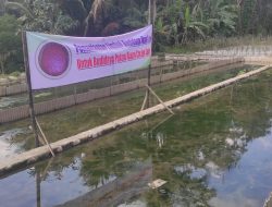 Tanah, Air, dan Kotoran Hewan yang Disukai Cacing Sutra