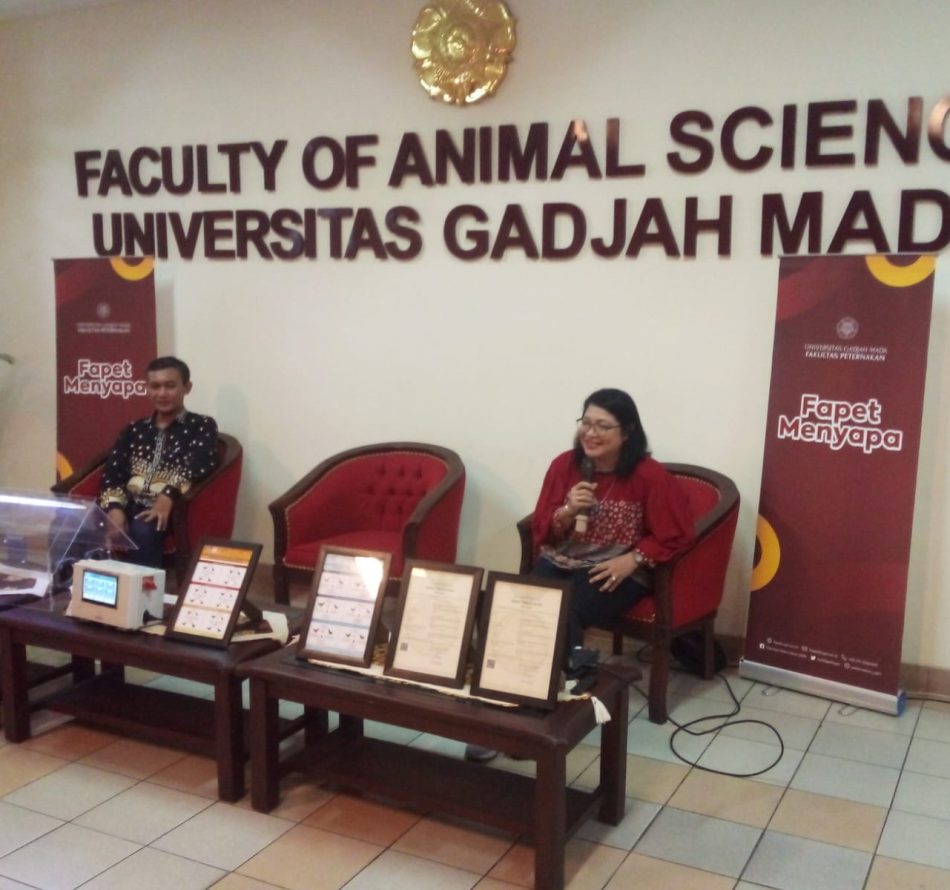 Ayam Lokal Galur Baru Fapet UGM, Bobot 0,8 Kilogram Panen 70 Hari