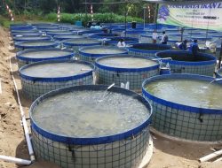 Menjaga Kualitas Air di Kolam Bioflok