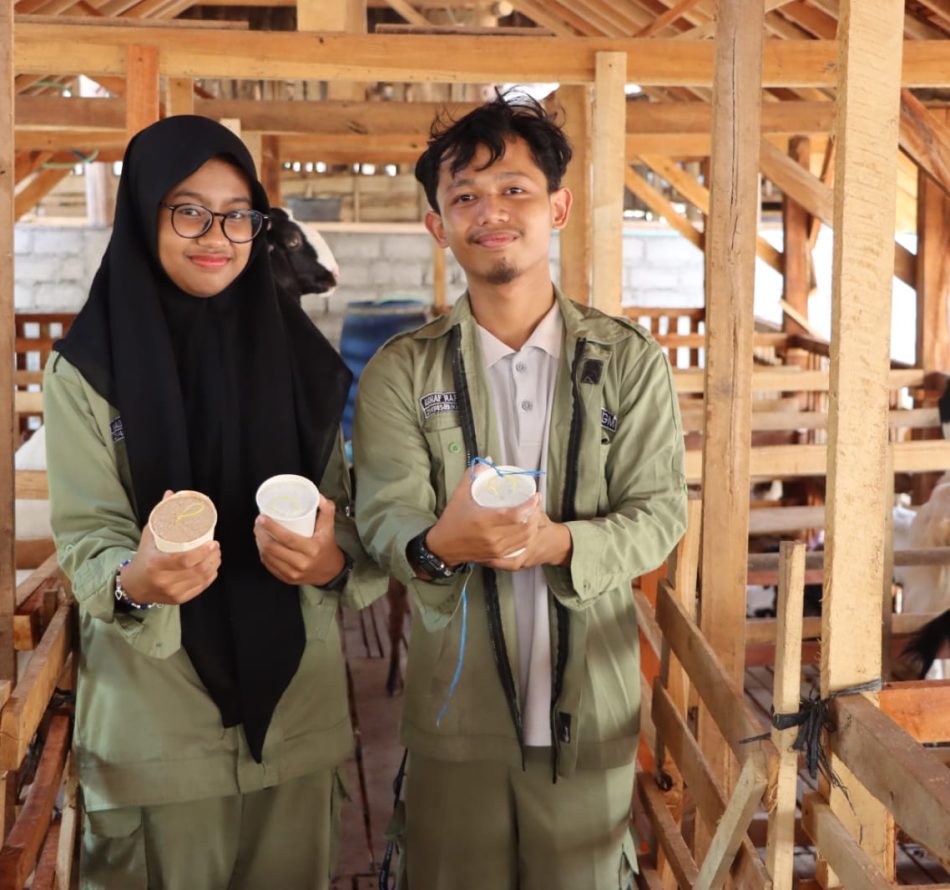 Kenali Gejala Ternak Kurang Mineral, Berikut Ini Cara Bikin Pakan Mineral Sederhana