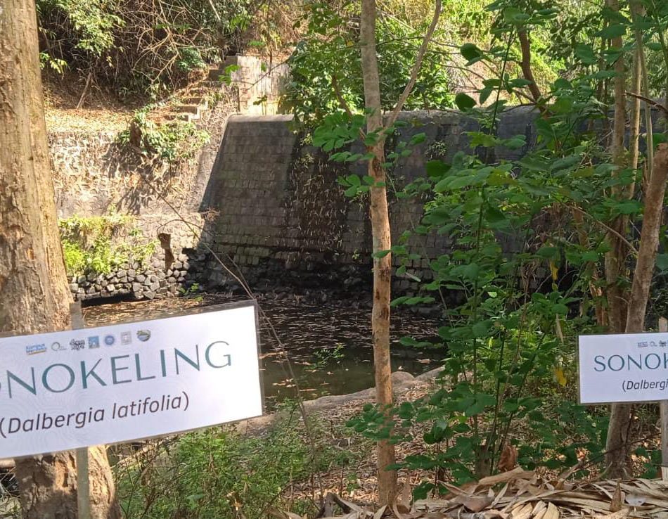 Ditumbuhi Pepohonan, Kawasan Green Kayen Jadi Paru-parunya Condongcatur