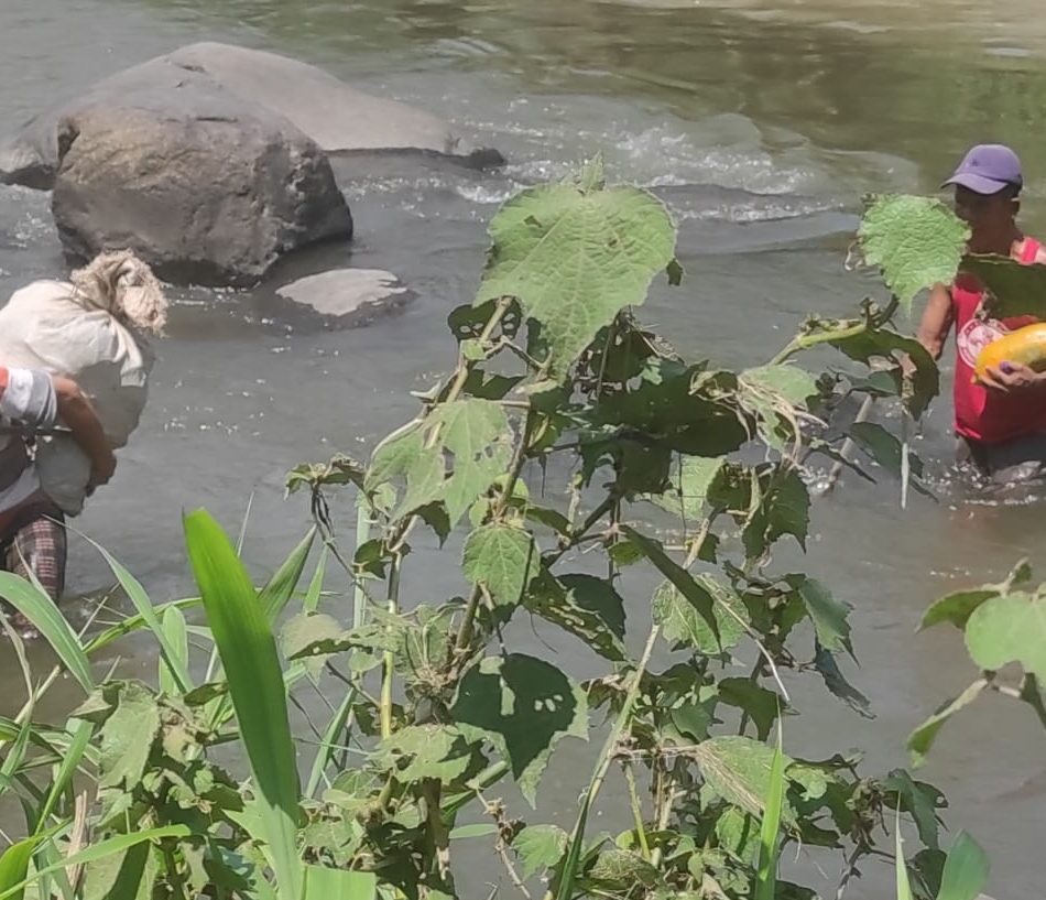 Suami Istri Menggendong Hasil Bumi Menyeberang Tempuran Sungai Progo dan Pabelan