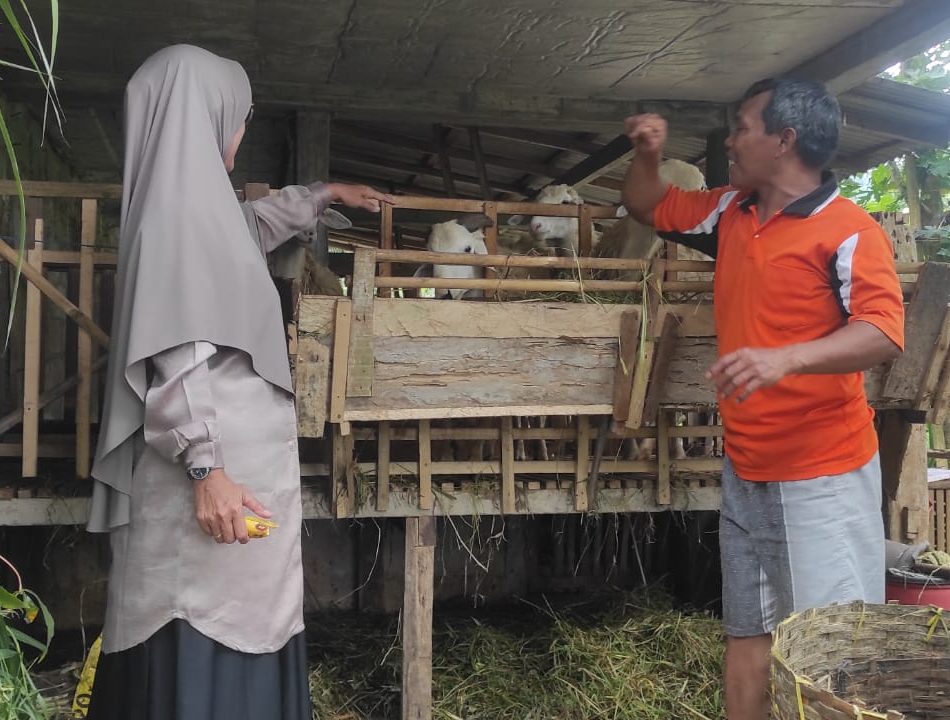 Memelihara Kambing Jadi Jaring Pengaman Ekonomi Keluarga di Perdesaan