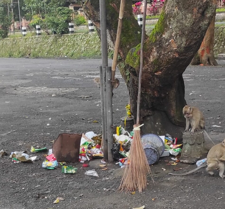 Memilih dan Memilah Sampah Ala Munyuk Kaliurang