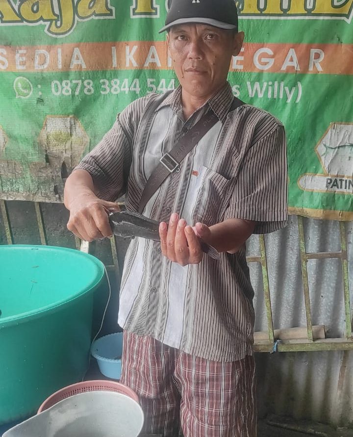 Kisah Willy Raja Pathil
