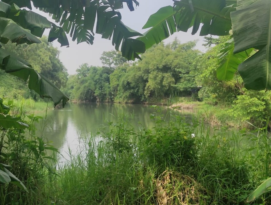 Pleret Pusat Peradaban Kedaulatan Pangan