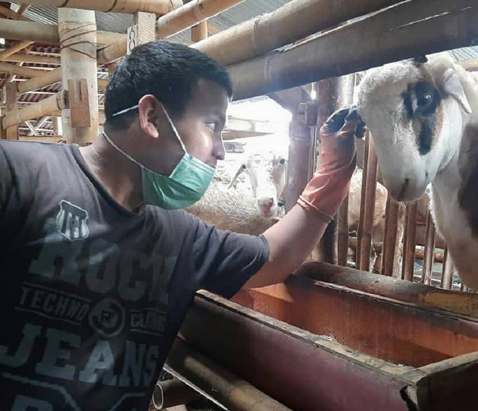 Perjalanan Syafei, Dari Peternak dan Jualan Pisang Hingga Jadi Konsultan Peternakan