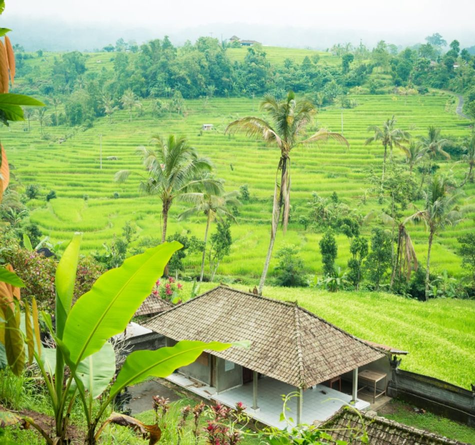 Kampus Diajak Berpartisipasi Mendorong Kemajuan BUMDes