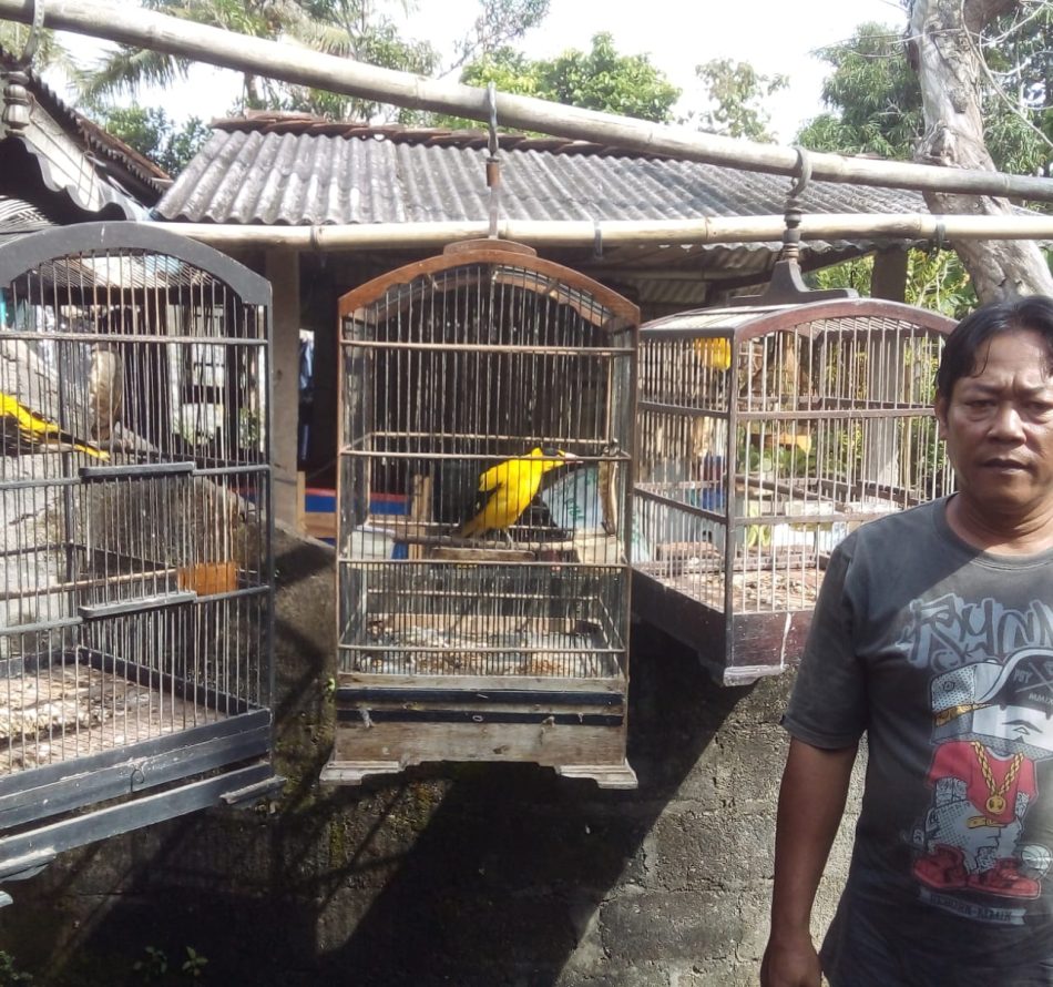 Ikuti Jejak Kakek, Aktri Nugroho Pelihara Kepodang