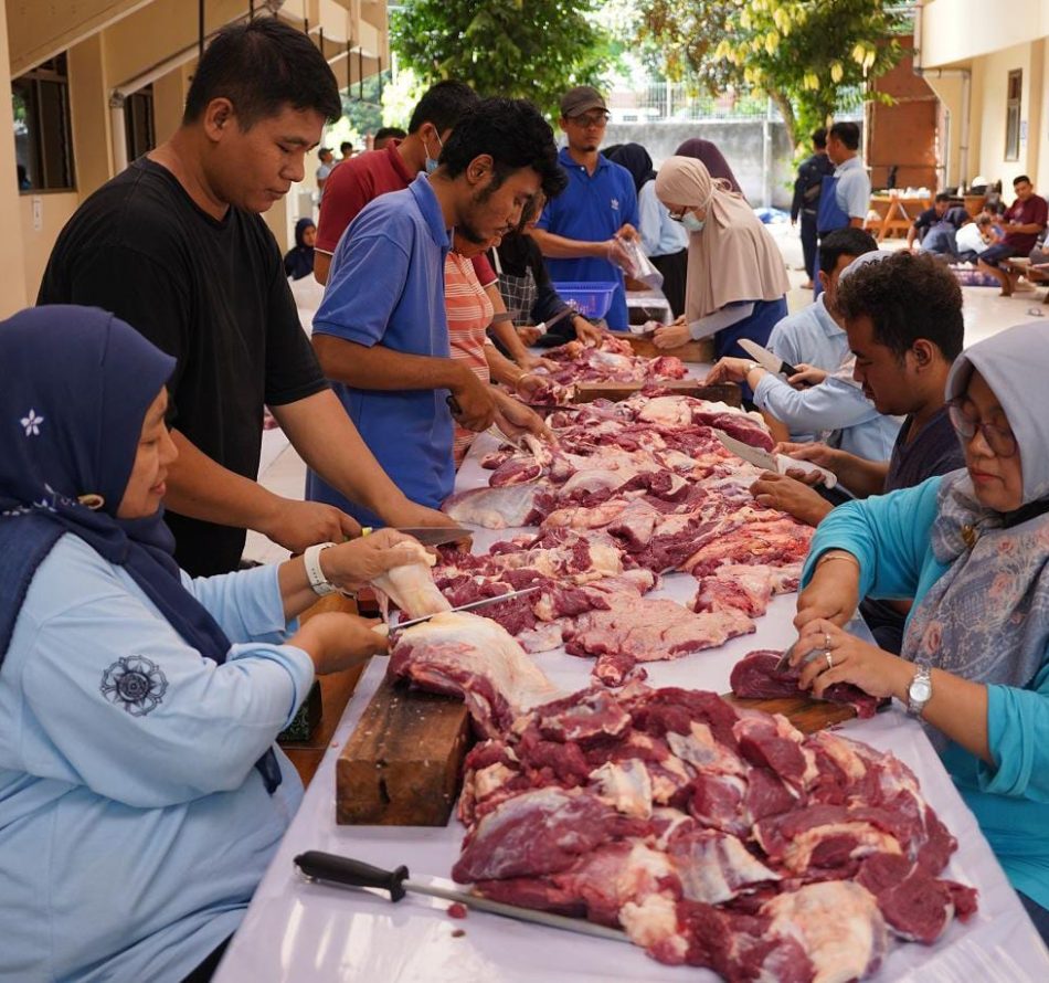 Fakultas Peternakan UGM Sembelih 5 Sapi dan 1 Domba