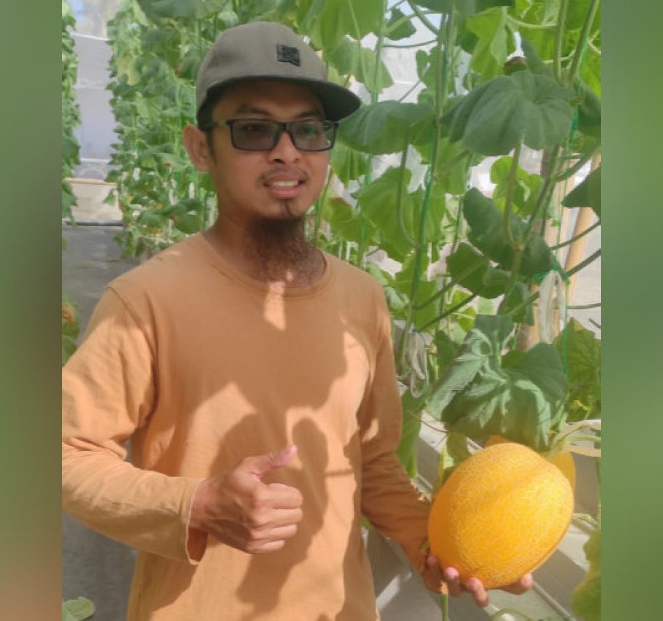 Dua Faktor Utama Budidaya Melon dengan Sistem Hidro di Green House