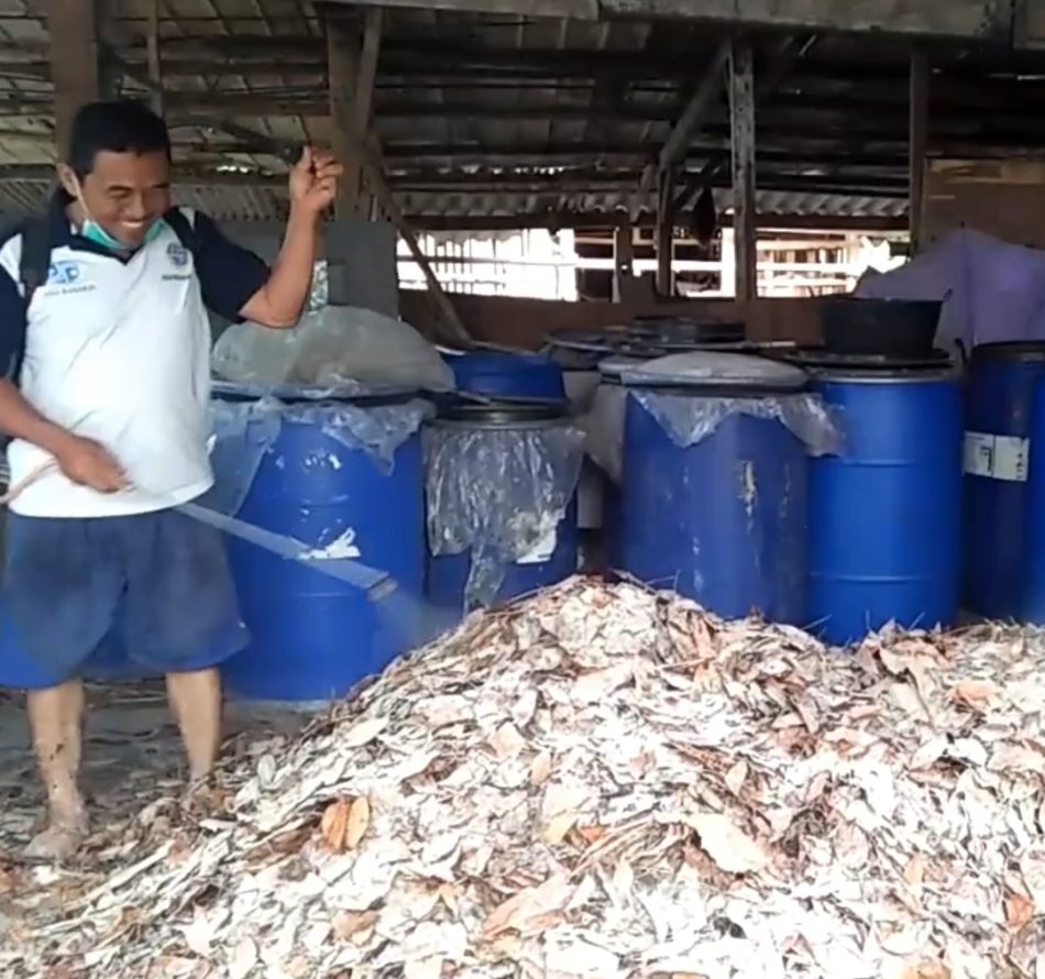 Daun Kering Untuk Pakan Kambing
