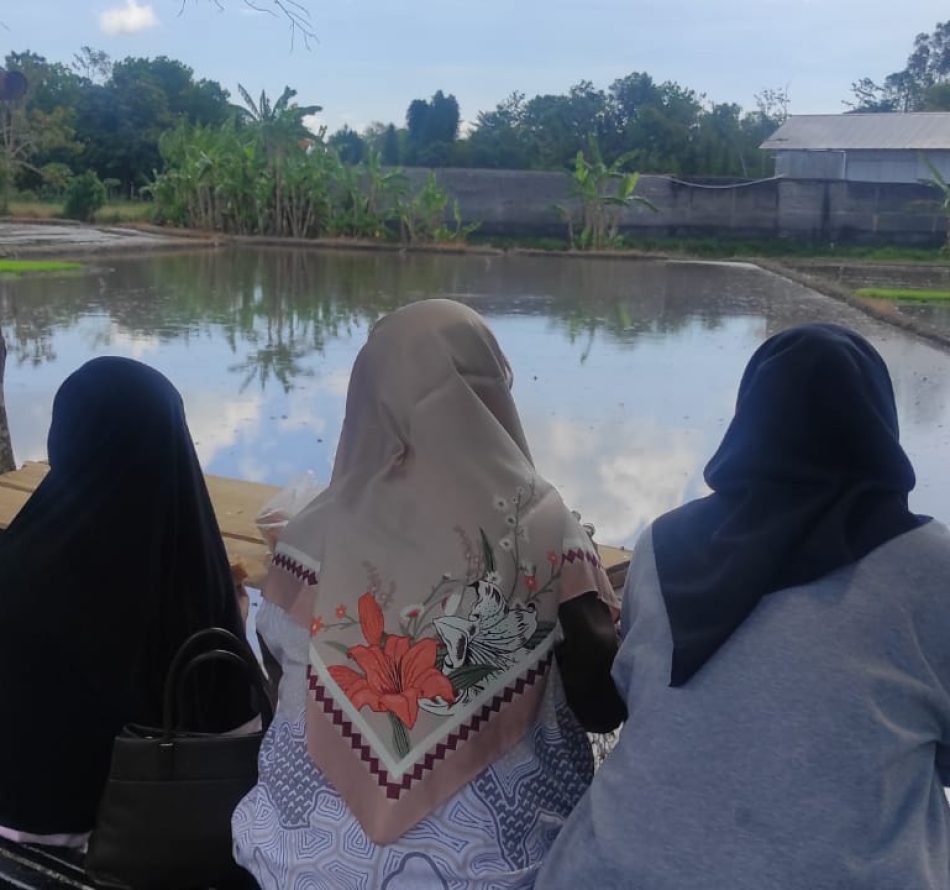 Minum Segarnya Air Kelapa sambil Melihat Indahnya Burung Kuntul di Persawahan