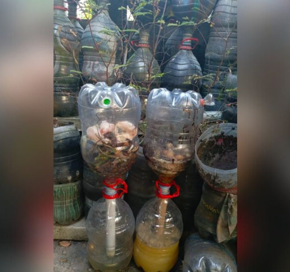 Mas JOS: Ubah Galon Bekas Jadi Penampung Sampah Organik