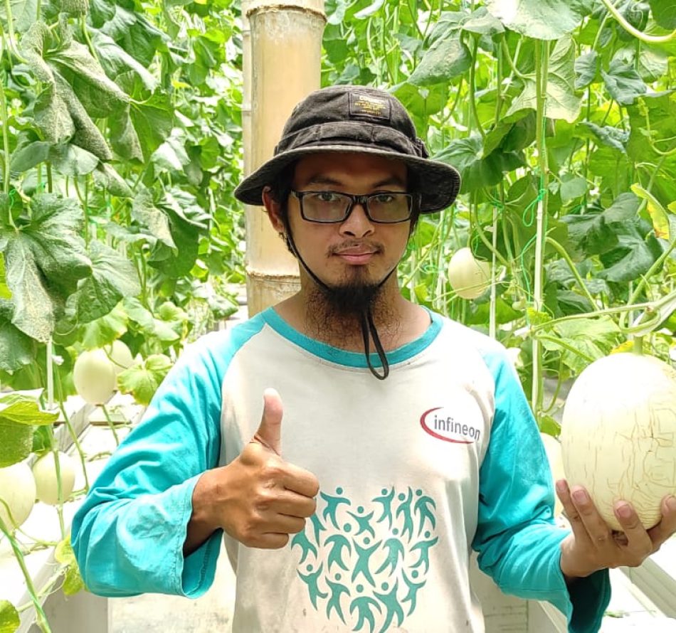 Bertani Melon dengan Teknologi Pertanian dan Informasi