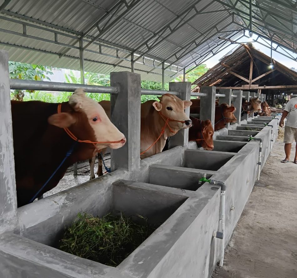 BUMKal Nyawiji Condongcatur Realisasikan Program Ketahanan Pangan