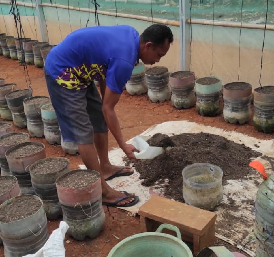 Budidaya Melon dengan Green House Titik Impas Dua Kali Panen