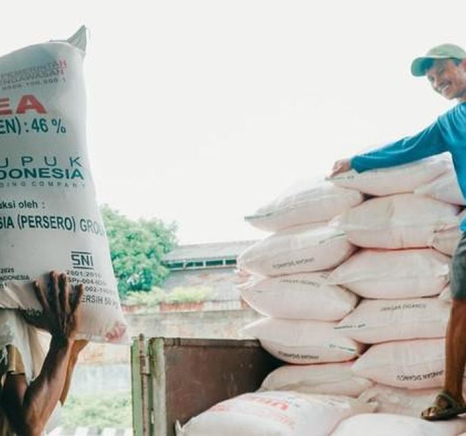 Syarat Menjadi Penyalur Pupuk Bersubsidi