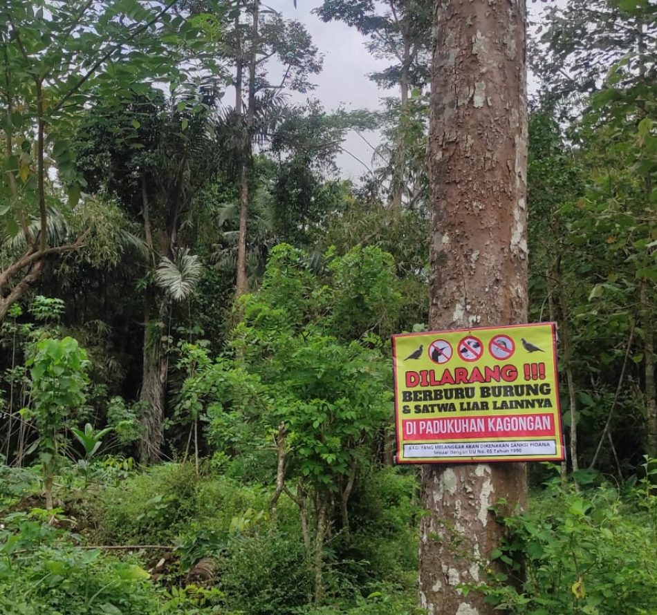 Warga Perdesaan Melarang Berburu Burung dan Satwa Liar