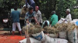 Tingkatkan Keamanan Lingkungan! Kasus Pencurian Gabah dan Bahan Makanan Banyak Terjadi Menjelang Ramadan dan Lebaran 2026