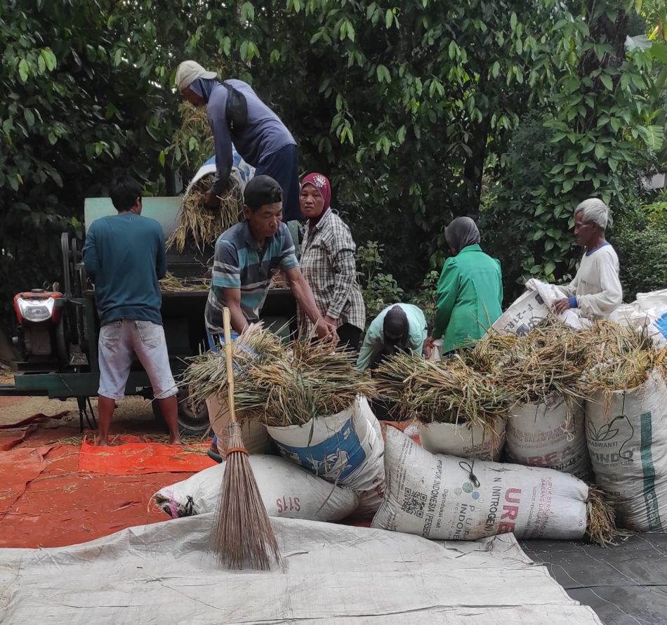 Tingkatkan Keamanan Lingkungan! Kasus Pencurian Gabah dan Bahan Makanan Banyak Terjadi Menjelang Ramadan dan Lebaran 2026