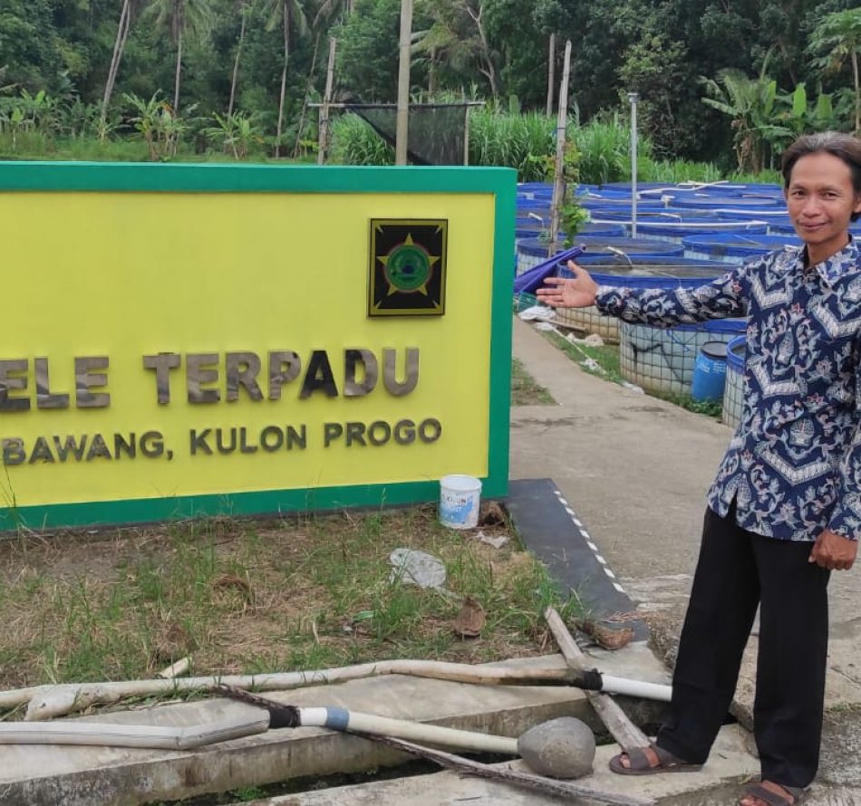 Budidaya Lele Terpadu Banjarharjo Dikonsep Bermanfaat Bagi Kelompok, Masyarakat, dan Pemerintah Desa